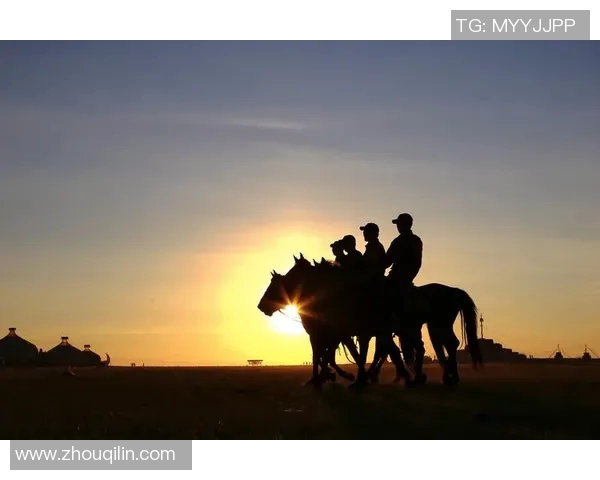 杭州极限运动队的转型与创新之路探秘与展望