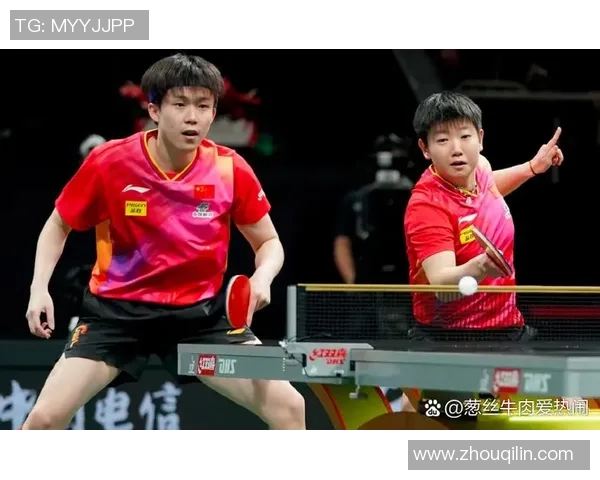 乒乓球的魅力与精神:深入了解成都乒乓球队的训练与文化